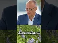 War wohl nichts
