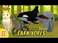 Carnivores Minisode Compilation (Part 3/6) - Leo the Wildlife Ranger | Animation | For Kids | Family