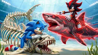  sonic wins the magic legendary dolphin racing championship epic racing challenge