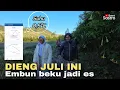 Download Lagu DIENG JULI INI, EMBUN MEMBEKU MENJADI ES