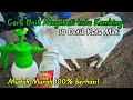 Download Lagu Mengobati kutu kambing yang paling unik mudah cepat dan 100% berhasil