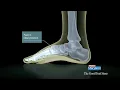 The Good Feet Store - Health Benefits