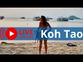 Download Lagu Koh Tao Island: 24/7 Live Stream from the Beach | Weather Condition online | View of Koh Nang Yuan