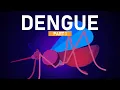 Download Lagu Dengue Explained in 5 Minutes