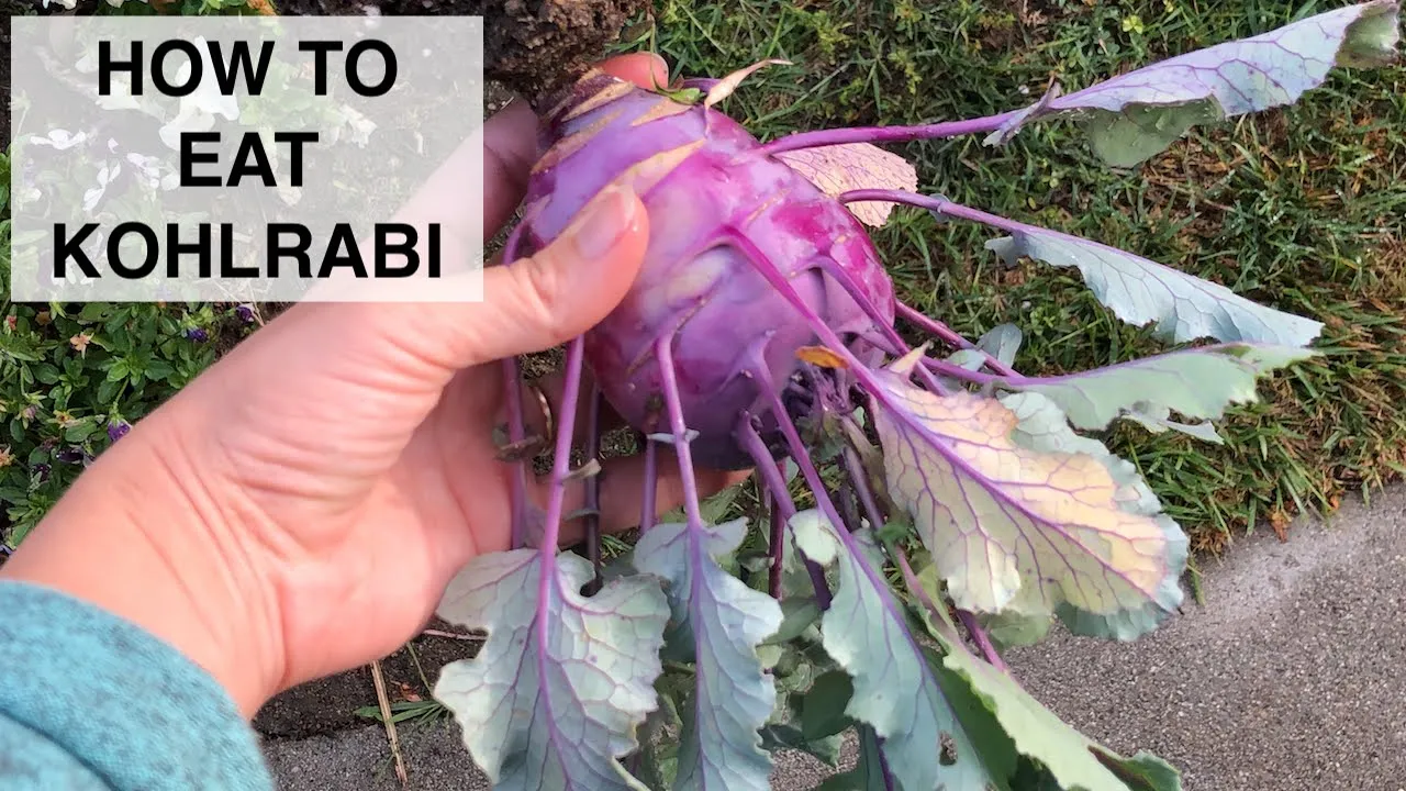 Kohlrabi: Our Favorite Weird Little Vegetable (How to Grow, Prepare and Serve Kohlrabi Bulbs)