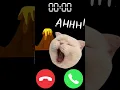 Download Lagu AHHH!! #ringtone #iphone #cat #shortvideo #kitten #shorts