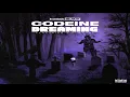Kodak Black - Codeine Dreaming Feat. Lil Wayne (432hz)