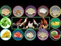 What to Feed Chickens What do Chickens Eat