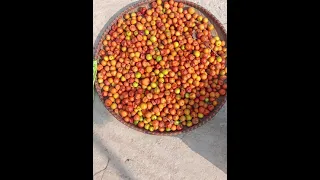 يادنيا انتي الحرمتيني من اهلي 1998 علاء كريم 