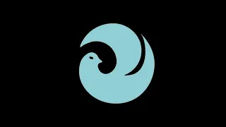 Software Rendering in C