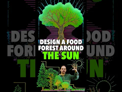 Design a Food Forest Around the Sun