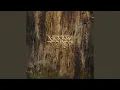 Download Lagu Black River Killer