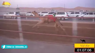 الشوط 2 موادع لـ محمد حمد راعي قحير الدرعي شارة الصنوق الخميس 2018 06 14 الرقيعات فطامين 