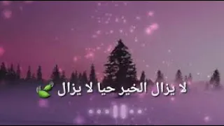 أنشودة لايزال الخير حيا لايزال أنشودة جميلة جدا عن الخير المنشد رائد القحطاني 