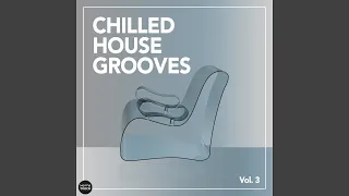 funk in groove eivizzards mix 