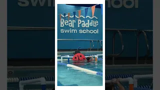 Splash School Bear Paddle Swim School