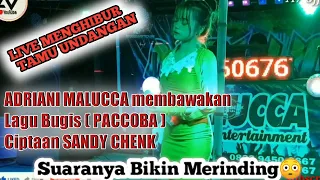 Download ADRIANI MALUCCA Live PACCOBA ,ciptaan SANDY CHENK,menghibur tamu undngan.suaranya bikin merinding MP3