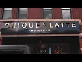 Logan Square Chicago Tour Luxury Neighborhood Walkthrough HoganZavalaGroup