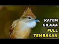 Download Lagu KAPAS TEMBAK GACOR PANJANG NONSTOP