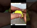 Download Lagu love birds yellow 100.1% #youtubeshorts #lovebirds #cute animals#love birds yellow 100.1%