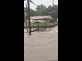 5-6 of rain in the last 24-hours near Stockton Mo in Cedar County