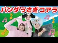 Lagu パンダうさぎコアラ【どこでもジャンボリー！】 童謡