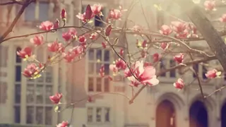 اشكو اليك امورا انت تعلمها مالي على حملها صبرا ولا جلد 