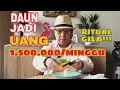 Lagu “Ternyata Daun Bisa Jadi Uang?! Rahasia \u0026 Eksperimen Gila Ini Jawabannya”