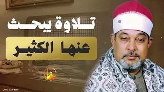 الشيخ السيد سعيد سورة المائدة تلاوة أسطورية أبهرت الحاضرين 