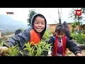 Download Lagu A Glimpse into the Life of Ethnic Groups in Sapa | VTV World