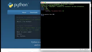 Python Basics Print Statements Variables for Beginners