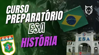 PERÍODO COLONIAL -- ADMINSTRAÇÃO, ECONOMIA E SOCIEDADE -  HISTÓRIA DO BRASIL PARA A PROVA DA ESA!