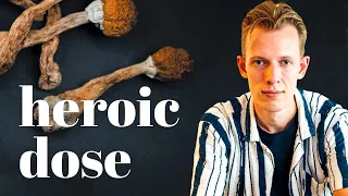 Magic Mushroom Dosage Guide 1g 3g 5g