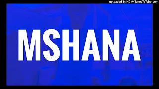 reece madlisa x zuma x busta 929 x abidoza type beat mshana amapiano beats