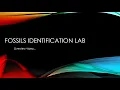 Fossils Lab Overview