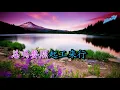 Download Lagu 爱拼才会赢 （卡拉ok)