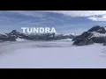 TUNDRA The Frozen World That Maintains the Planet s Climate