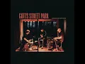 Gotts Street Park & Pip Millett - Flowers 