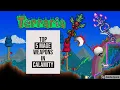 TOP 5 MAGE WEAPONS IN CALAMITY Terraria