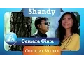 Download Lagu Shandy - Cemara Cinta (Official Videp Clip)
