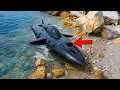 Mysterious Boat Washes Up - You Never Believe What s They Find Inside