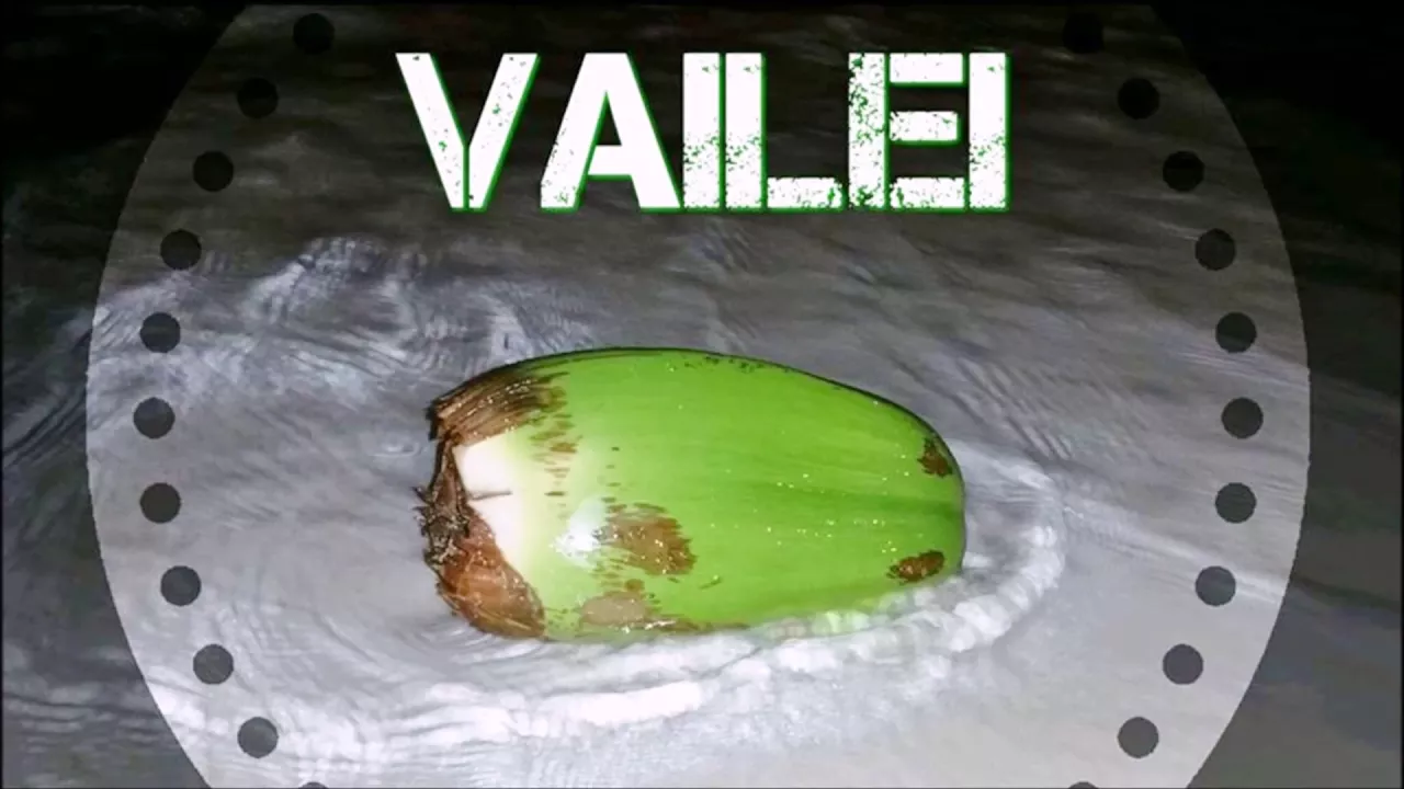 MEMORII 2017 - Rii'Kah & Ya'Nerl Ft Toxic Mahn (naigoh's music library)