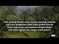 Download Lagu Efek Gedang Klutuk \