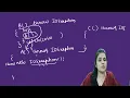 Throws Keyword in Java Exception Handling with Example in Hindi