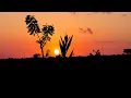 Download Lagu Mentahan video background langit senja (no copyright)