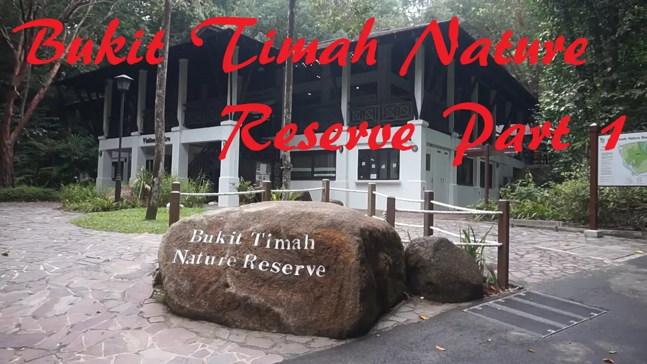 Bukit Timah Nature Reserve Part 1. Oldest Nature Reserve in Singapore with untouched Primary Forest