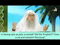 Download Lagu Did Prophet have a cat named Muezza? Is having cats as pets a sunnah? - Assim al hakeem