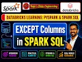 119 Databricks Pyspark Spark SQL Except Columns in Select Clause