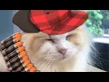 Download Lagu If TF2 turned into a Cat Cafe