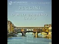 Gianni Schicchi, SC 88: "O Mio Babbino Caro" (Arr. for String Orchestra) - Metamorphose String Orchestra, Pavel Lyubomudrov & Giacomo Puccini